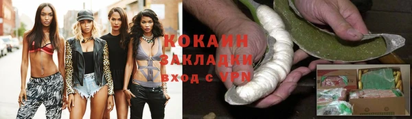 тгк Нея