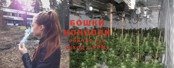 ешки Нефтегорск