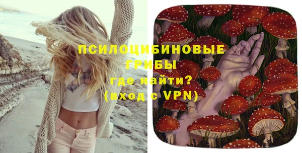 ешки Нефтегорск