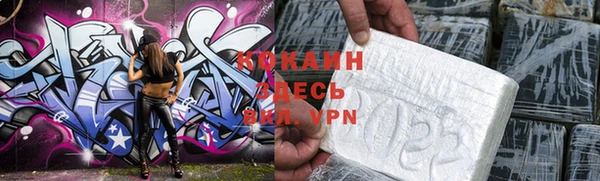 тгк Нея