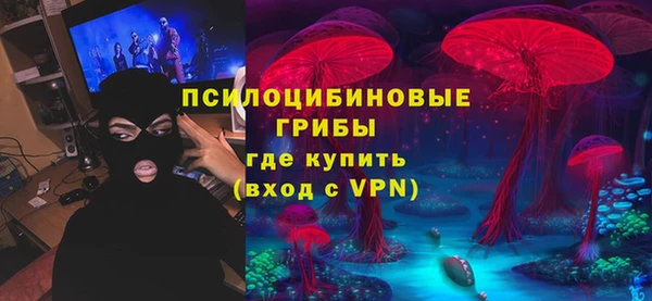 тгк Нея